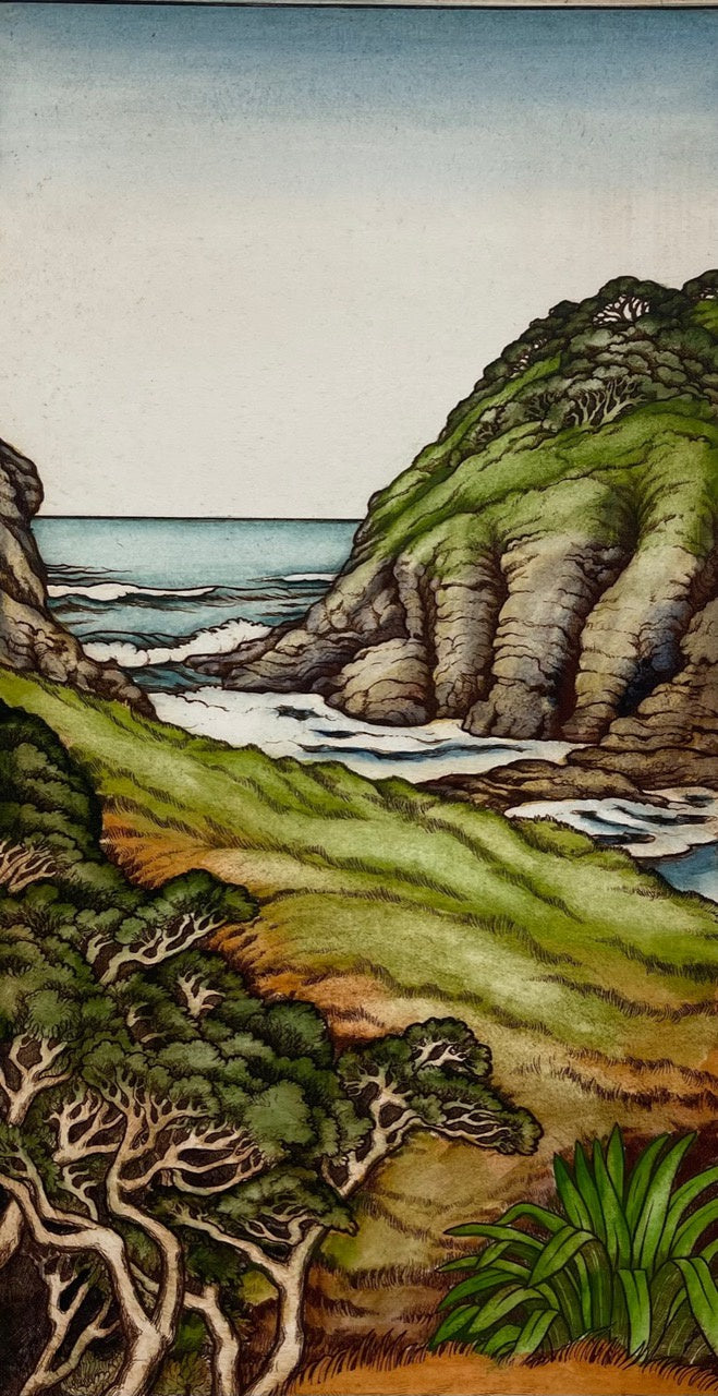 Te Henga Coastline