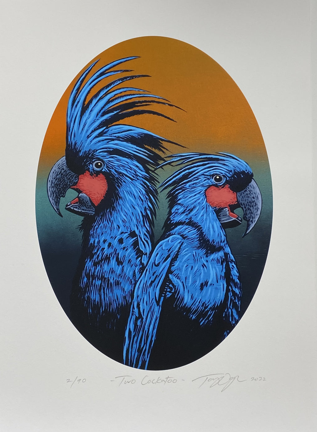Two Cockatoo - Orange Fade