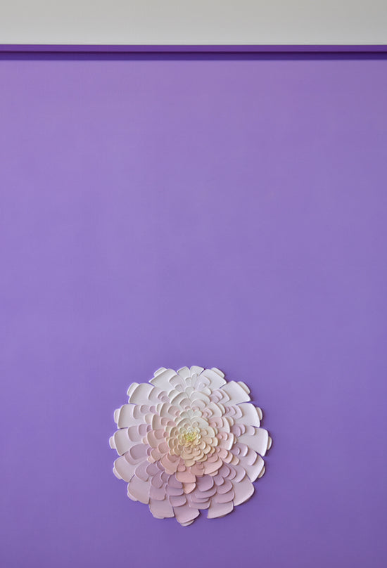 Purple Geometric Study