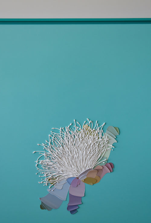 Turqoise Madagascar Tree Flower Study