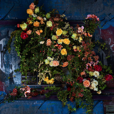 Roses and Ivy