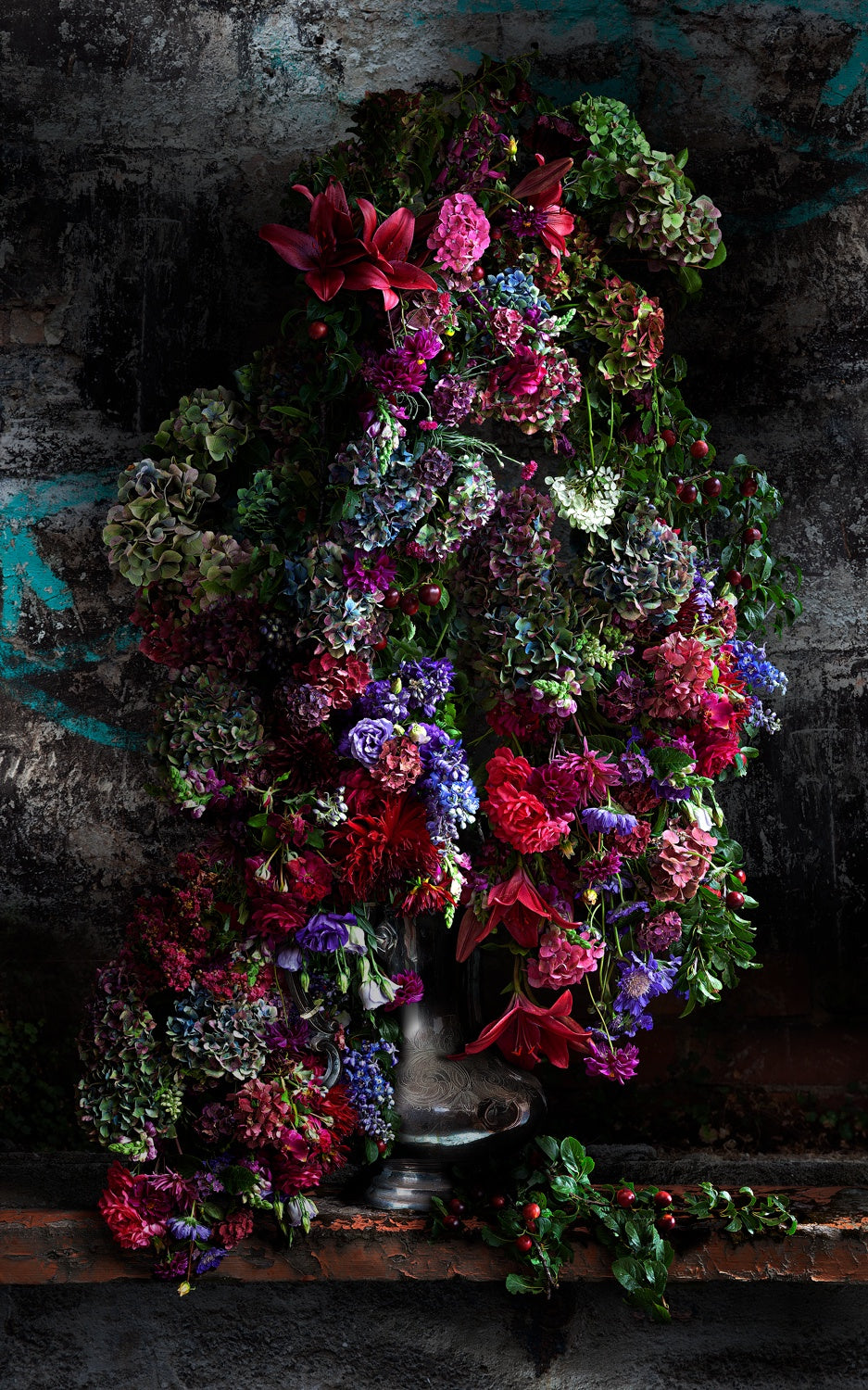 Black Plums and Dahlias