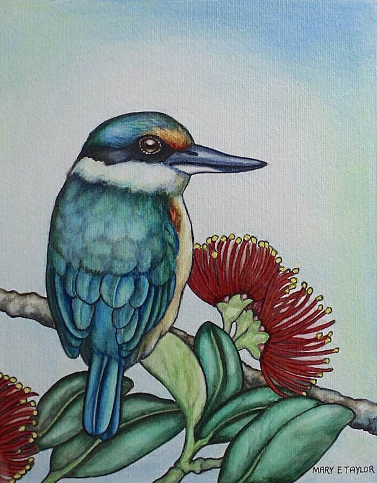 Kingfisher