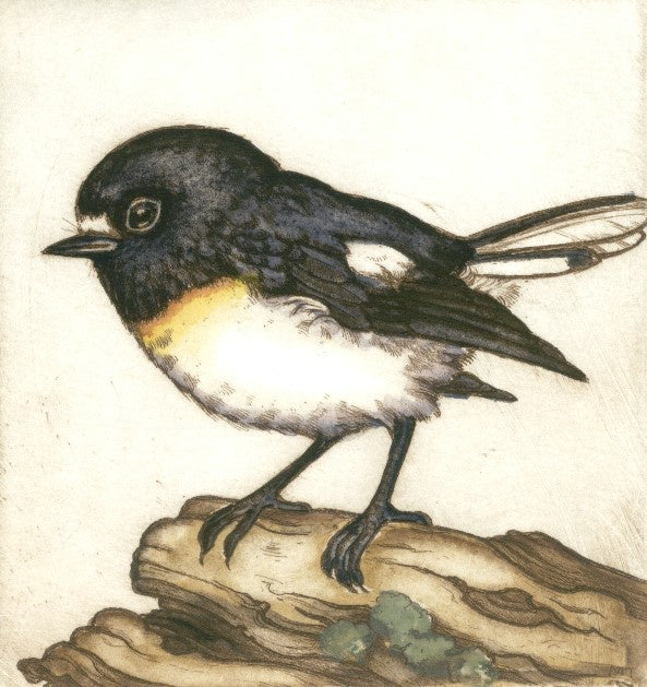 Tomtit II