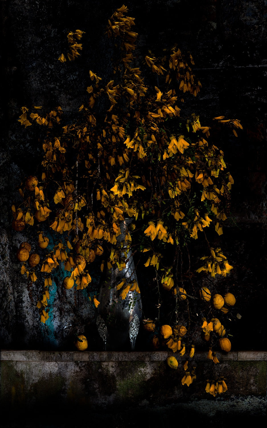 Kowhai and Lemons